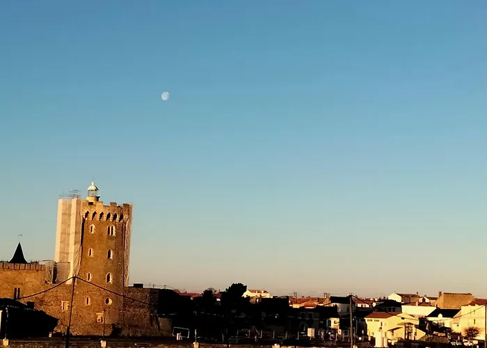 Alcove - Face Au Chenal, 50m Plage/port, 700m Centre-ville, Capacite 3 Pers., Confort Moderne - Fr-1-331-202 * 莱萨布勒-多洛讷