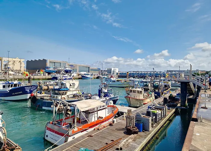 Alcove - Face Au Chenal, 50m Plage/port, 700m Centre-ville, Capacite 3 Pers., Confort Moderne - Fr-1-331-202 * 莱萨布勒-多洛讷